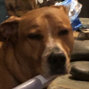 Meet your Posher, Jeffery